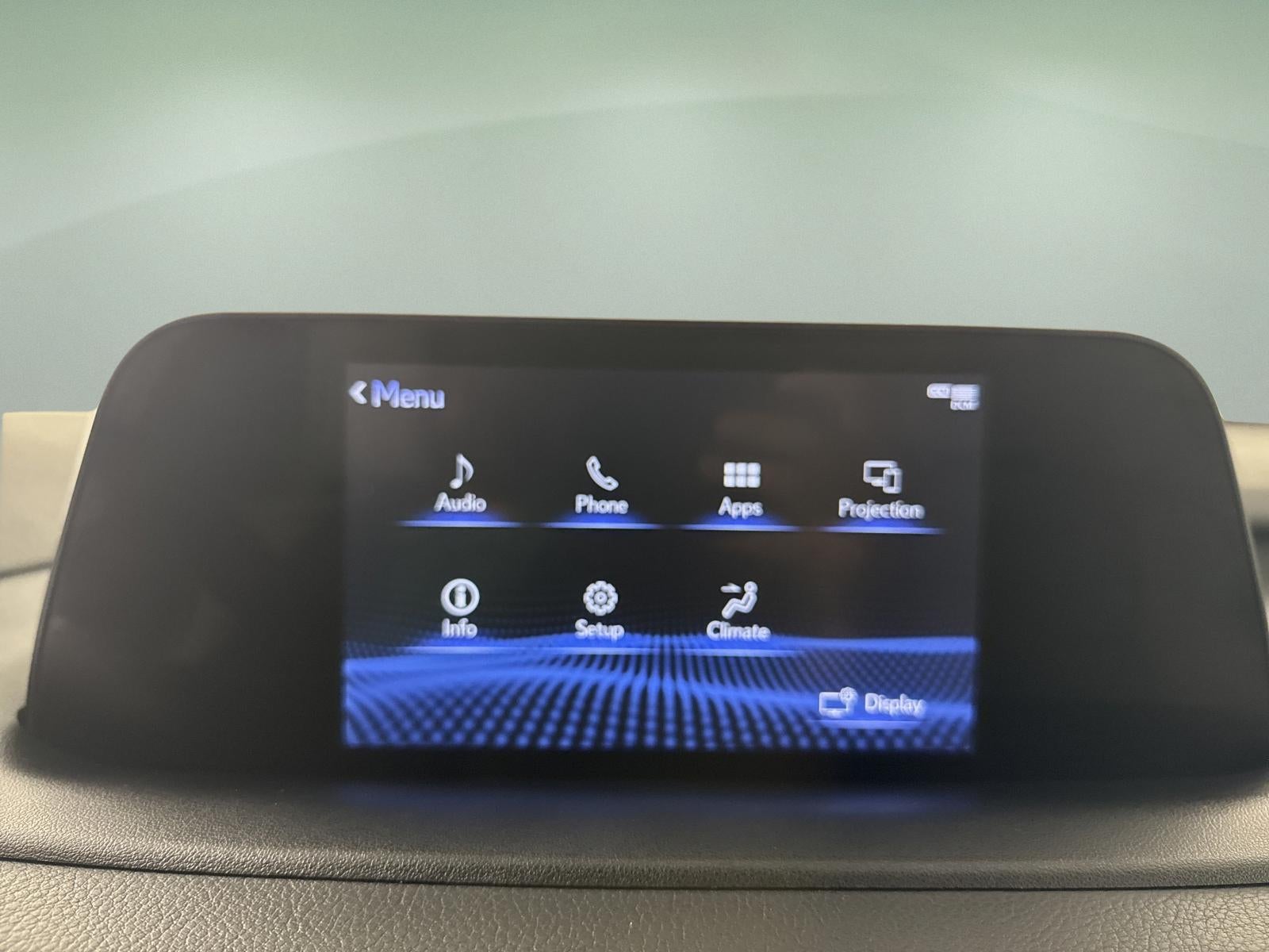 2021 Lexus RX 350 RX 350
