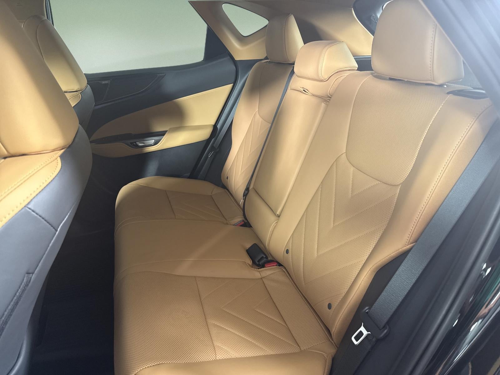 2025 Lexus NX 350h Luxury