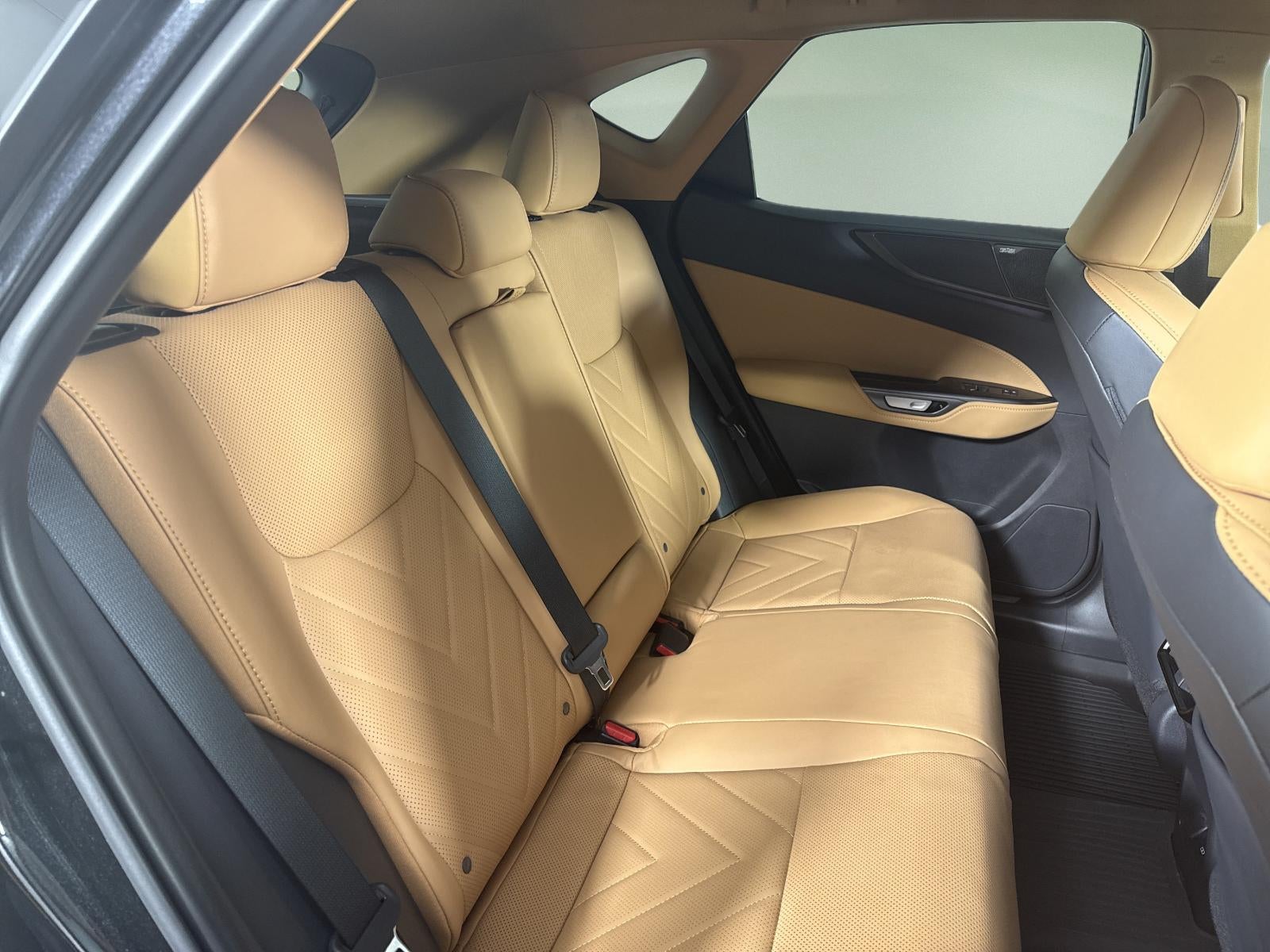 2025 Lexus NX 350h Luxury