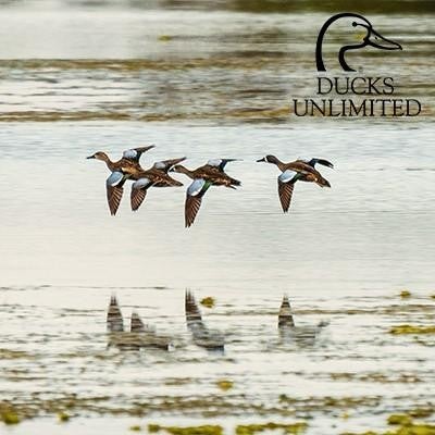 DUCKS UNLIMITED